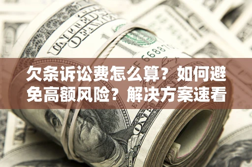 济南欠条诉讼费怎么算？如何避免高额风险？解决方案速看！