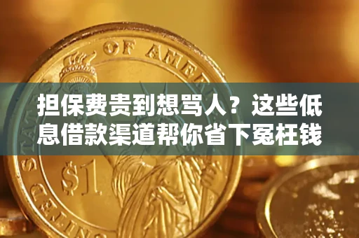 济南担保费贵到想骂人？这些低息借款渠道帮你省下冤枉钱