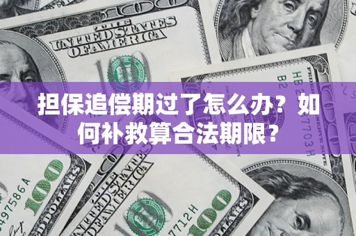济南担保追偿期过了怎么办？如何补救算合法期限？