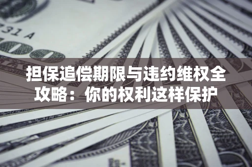 济南担保追偿期限与违约维权全攻略：你的权利这样保护